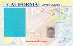 state drivers license psd templates